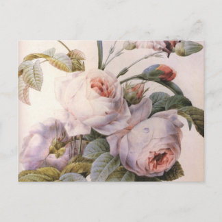 Cartão postal de Flor de Rosa de Arte Vintage