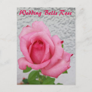 Cartão postal de flor Rosa Sinos de Casamento - pa