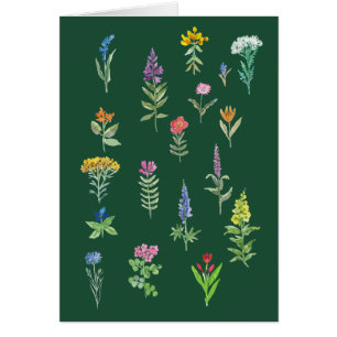 cartão postal de flores de jardim
