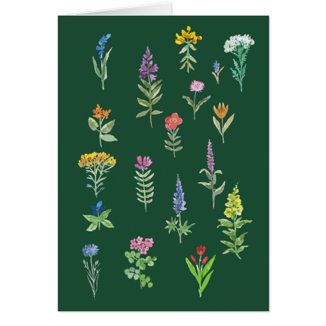 cartão postal de flores de jardim (Frente)