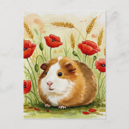 Cartão postal de Flores de Papoula de Porquinho-da
