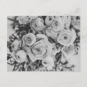 CARTÃO POSTAL DE FLORES DE PEONY