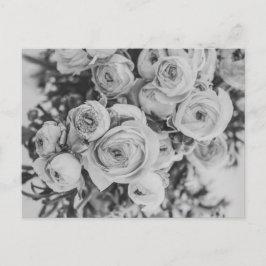 CARTÃO POSTAL DE FLORES DE PEONY