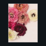 Cartão postal de flores em flor<br><div class="desc">Impressão de arte fotográfica de coração de flor fresca</div>