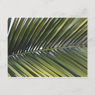 Cartão postal de folha de árvore Palm