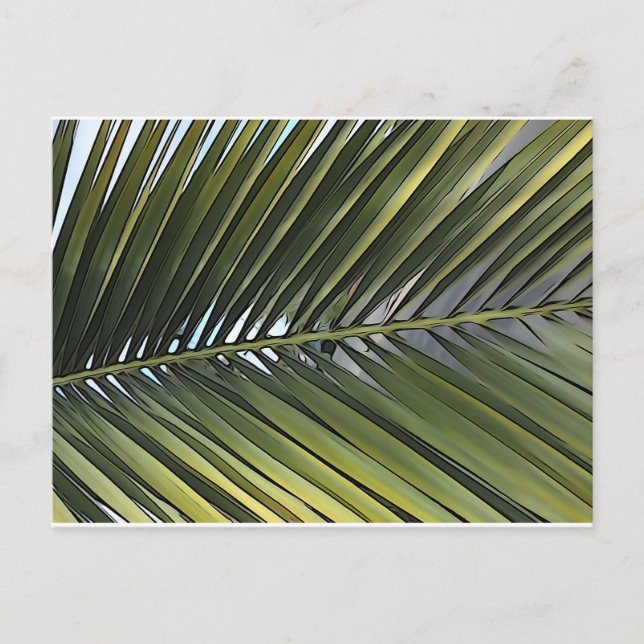 Cartão postal de folha de árvore Palm (Frente)