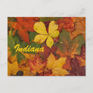 Cartão Postal de Folhas de Outono de Indiana