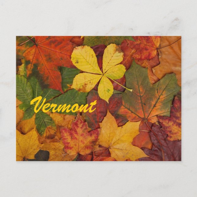 Cartão Postal de Folhas de Outono de Vermont (Frente)