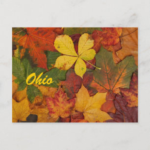 Cartão postal de Folhas do Ohio Autumn
