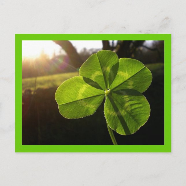 Cartão postal de folheto 4 folhas (Frente)
