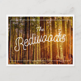 Cartão postal de Foto das Sequoias da Califórnia