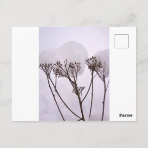 Cartão postal de foto de neve de inverno