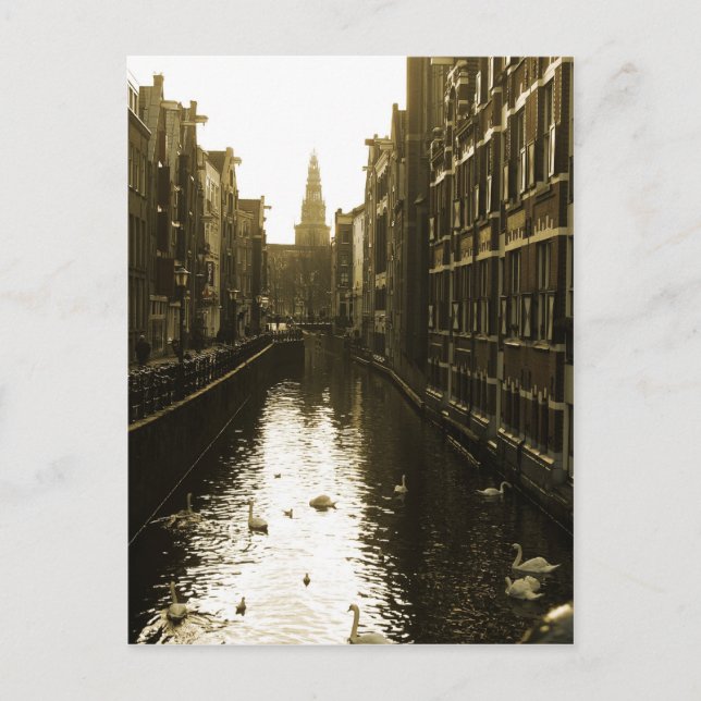 Cartão postal de Foto do Canal de Amsterdã (Frente)