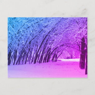 Cartão postal de Fotografia do Winter Landscape