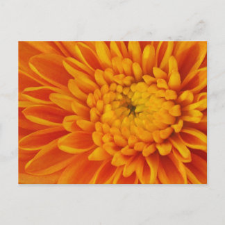 Cartão postal de Fotografia Floral de Mãe Laranja