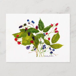 cartão postal de fruta