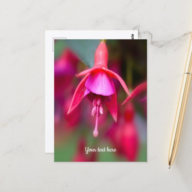 Cartão postal de fúcsia rosa e roxo (Frente/Verso In Situ)