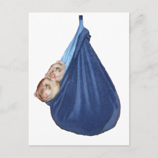 Cartão Postal de Furões numa Sacocama