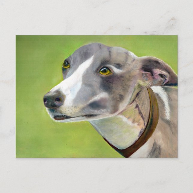 Cartão postal de galgos (a404) (Frente)
