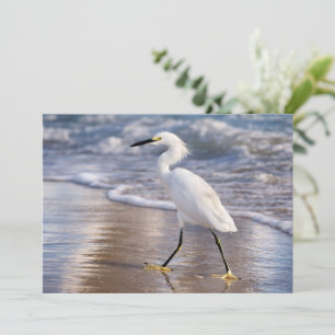 Cartão postal de Garça na costa