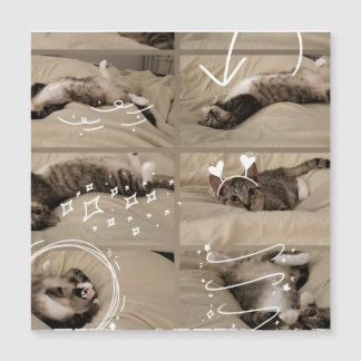 Cartão Postal de Gatinho Adorável