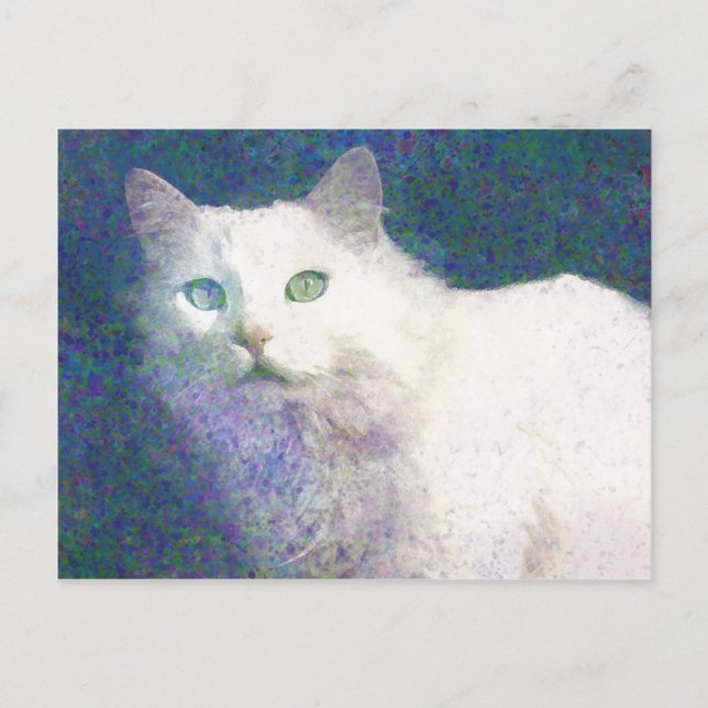 Cartão postal de gato branco texturizado (Frente)