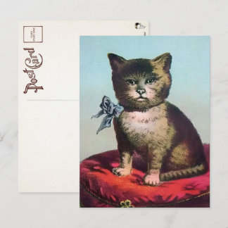 Cartão postal de gato estranho vitoriano