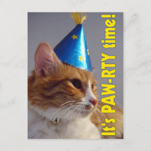 Cartão postal de Gato PAW-RTY do convite de aniver
