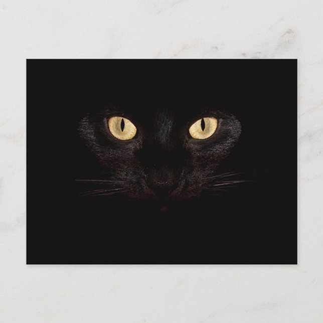 cartão postal de gato preto (Frente)