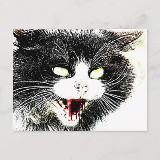 Cartão Postal de Gato Zumbi