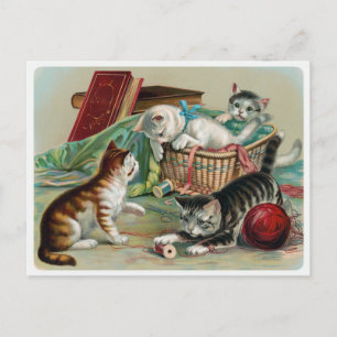 Cartão Postal de Gatos Antigos