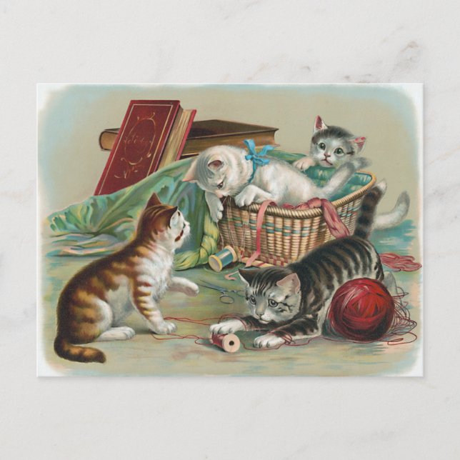 Cartão Postal de Gatos Antigos (Frente)