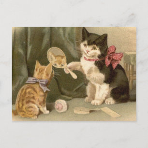 Cartão Postal de Gatos Antigos