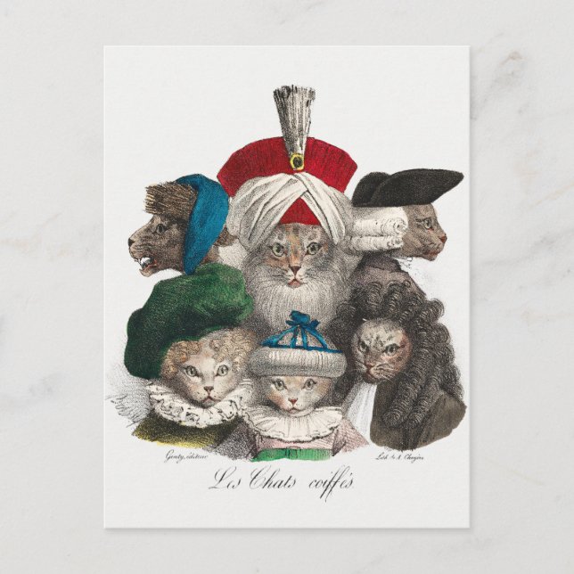 Cartão postal de gatos antigos (Frente)