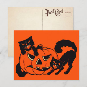 Cartão postal de gatos retrô de Halloween