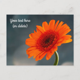 Cartão postal de Gerbera laranja