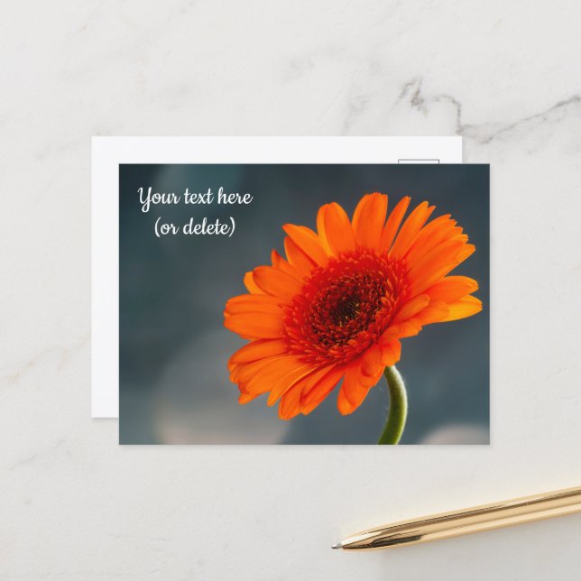 Cartão postal de Gerbera laranja única (Frente/Verso In Situ)