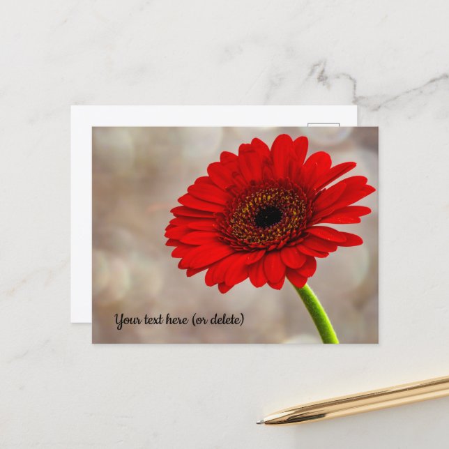 Cartão postal de Gerbera Vermelha (Frente/Verso In Situ)