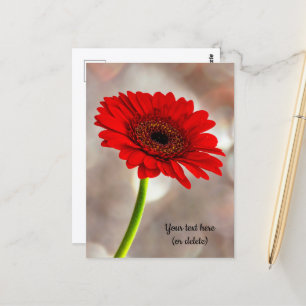 Cartão postal de Gerbera Vermelha Única