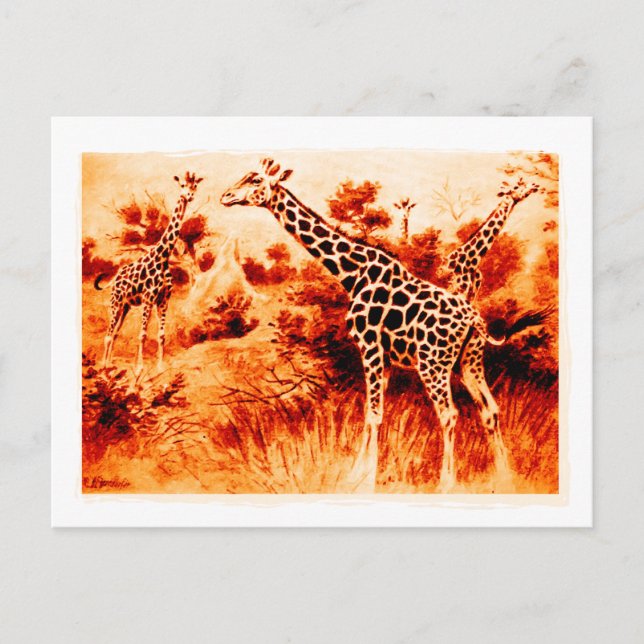 Cartão Postal de Girafa (Frente)