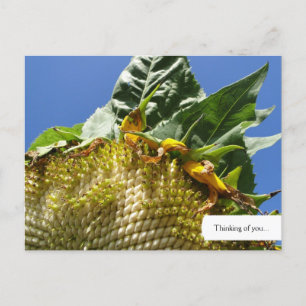 Cartão postal de girassol personalizável