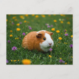 Cartão postal de Grama Natural Cavia, Flor de Suín