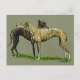Cartão postal de "Greyhound Hug"