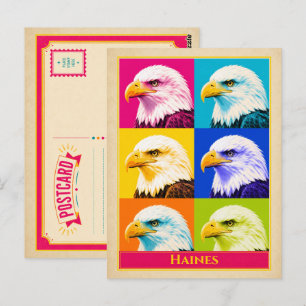 Cartão Postal de Haines Alasca Águia Careca Vintag