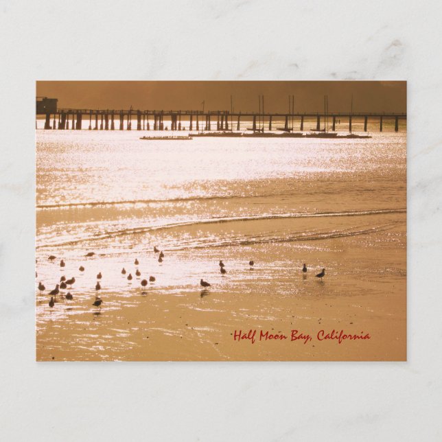 Cartão Postal de Half Moon Bay (Frente)
