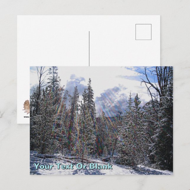 Cartão Postal De Havilland Beaver Floatplane (Frente/Verso)