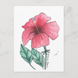 cartão postal de hibisco