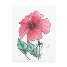 cartão postal de hibisco