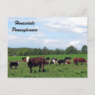 Cartão postal de Honesdale Pennsylvania