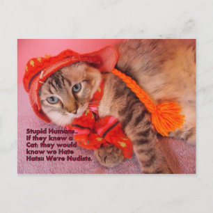 cartão postal de humor humano estúpido